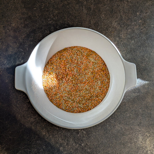Cozy Curry Lentil Soup